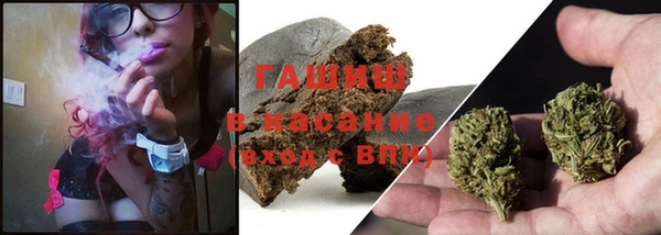 ECSTASY Алзамай