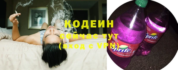 ECSTASY Алзамай