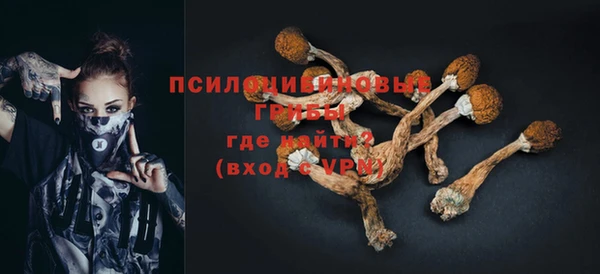 ECSTASY Алзамай