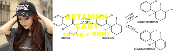 ECSTASY Алзамай