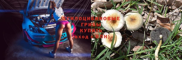 тгк Абаза
