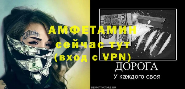 ECSTASY Алзамай