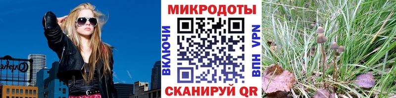 shop как зайти  Абакан  Псилоцибиновые грибы Magic Shrooms  купить наркотик 